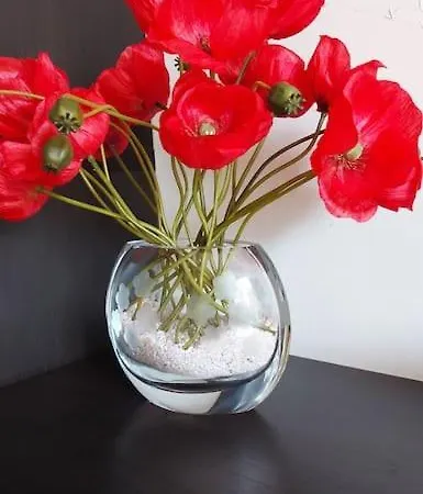 Magnifico Centro - Rusconi 33 Apartment